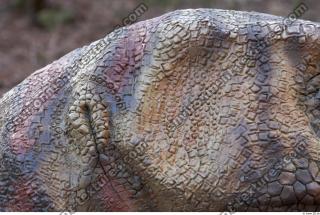 dinosaur skin 0025